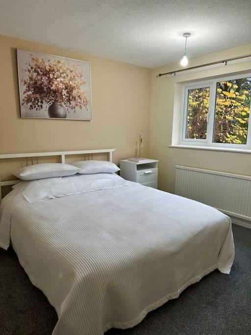 Stylish 2 Bedrooms Flat In A Quiet Cul-De-Sac Area, Near Sheffield City Centre With Free Parking ภายนอก รูปภาพ